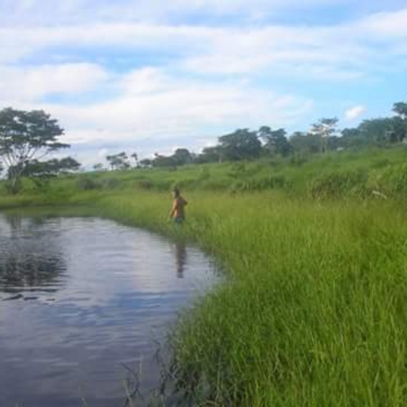 Meet your Posher, Matthew - Picture 10 of 14